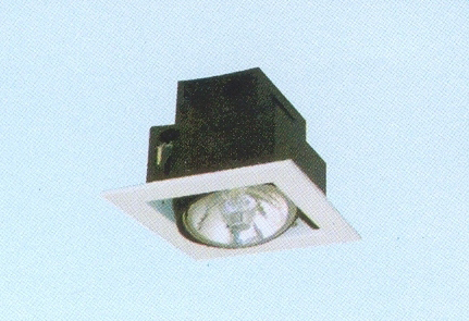 RECESSED MOUNTED HALOPAR DHS 1L