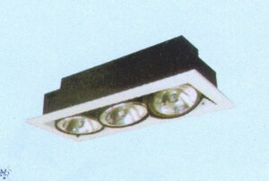 RECESSED MOUNTED HALOPAR DHS 3L